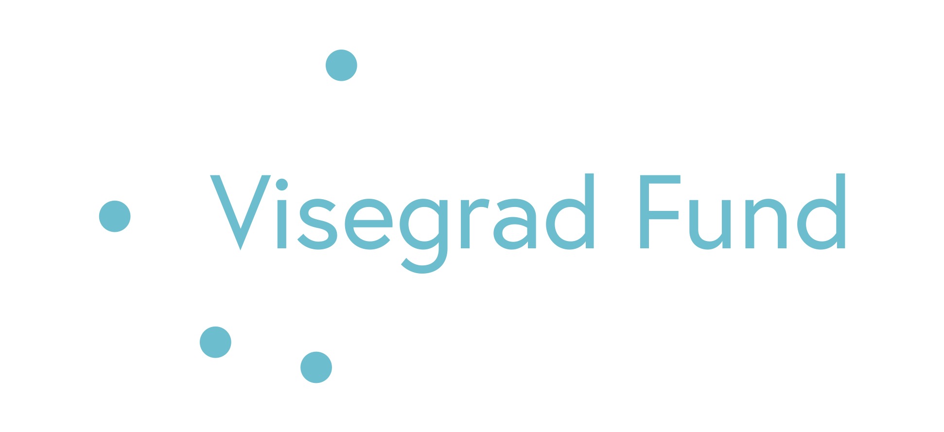 Logotype International Visegrad Fund